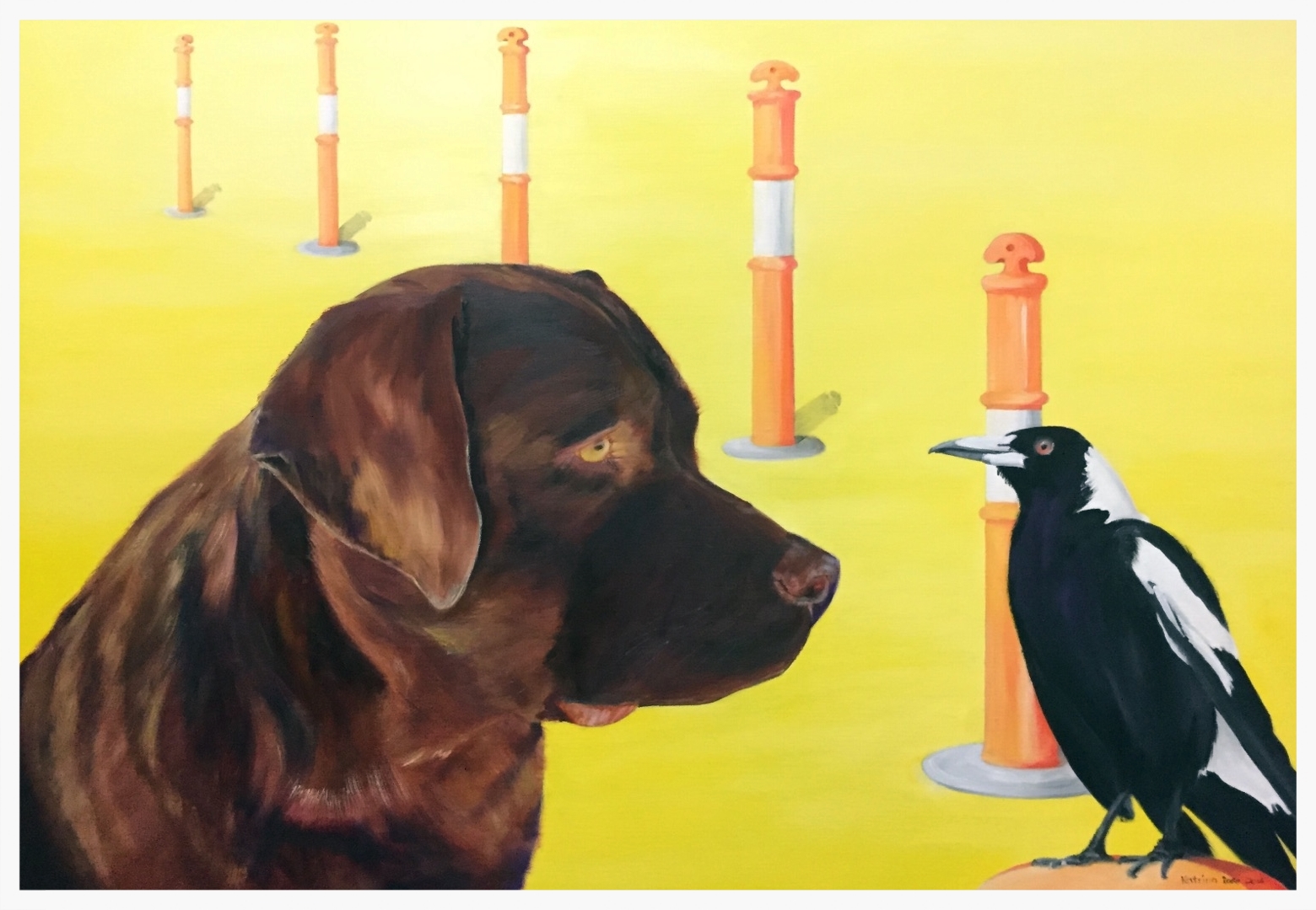 Chase with Magpie