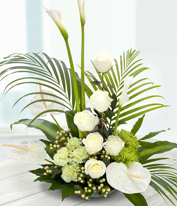 Always and Forever.jpg