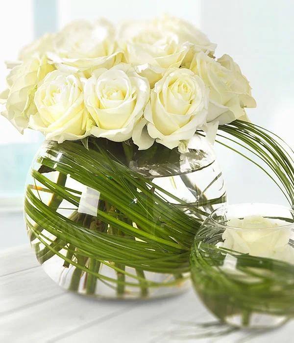 WELCOME TO THE WORLD.jpg