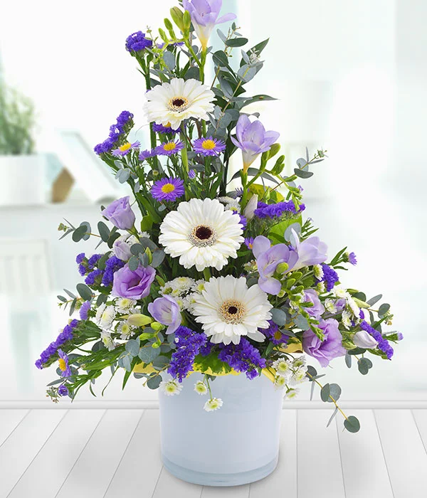 tarnquil mountain.jpg