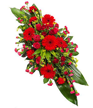 Red Double Ended Spray.jpg