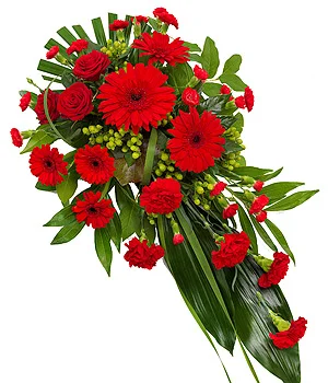 Red Single Ended Spray.jpg