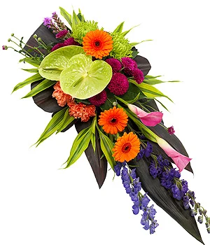 Vibrant Single Ended Spray.jpg