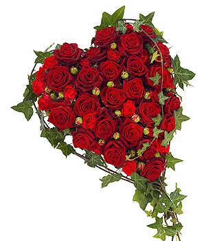 Red Rose Heart.jpg