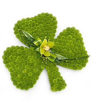 Shamrock Tribute.jpg