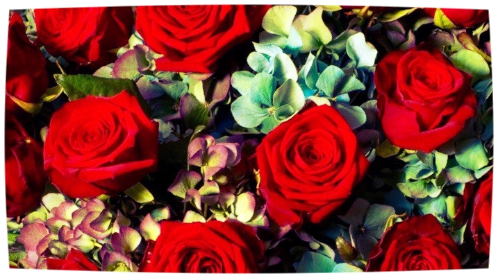 Neill+Strain+flowers+for+Valentine's+Day+in+Belgravia.jpg