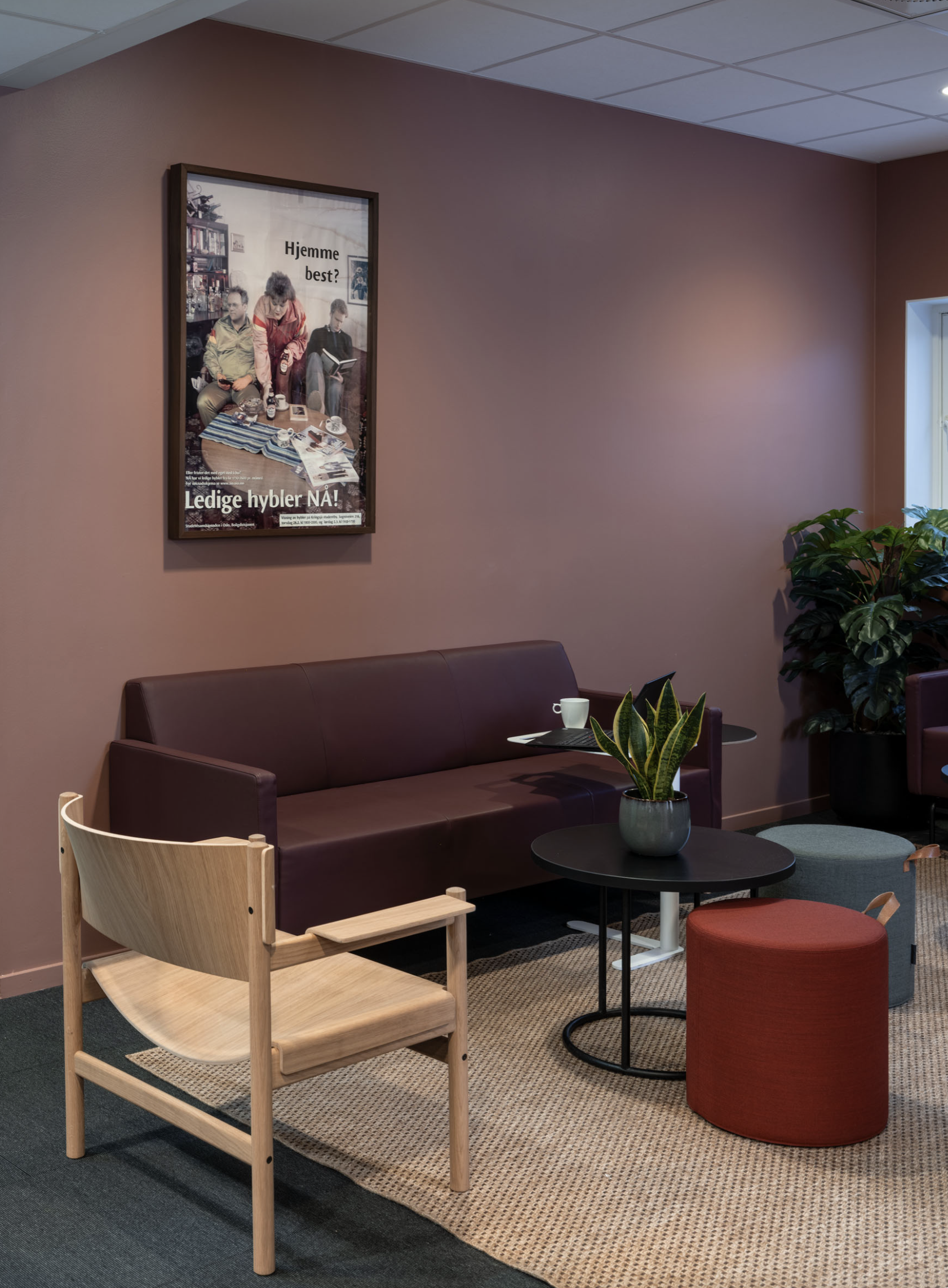 Screenshot 2026-02-26 at 11.33.02.png