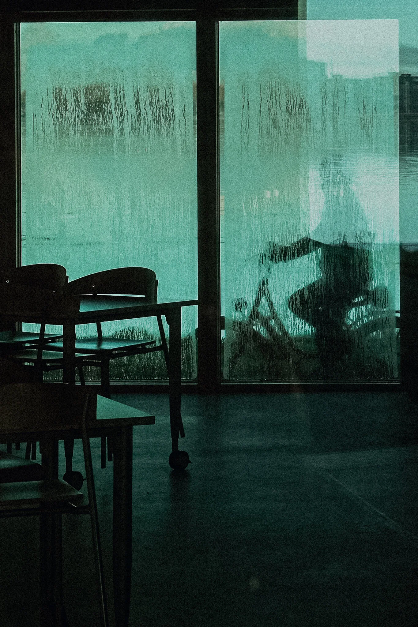 DSCF7196.jpg