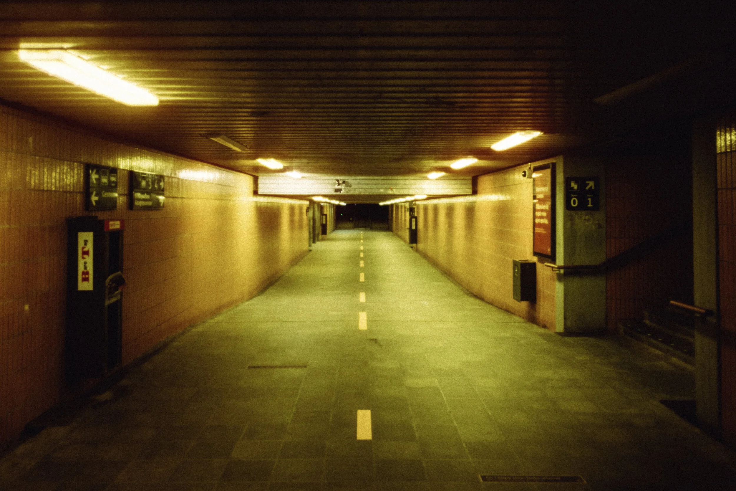 DSCF8199.jpg