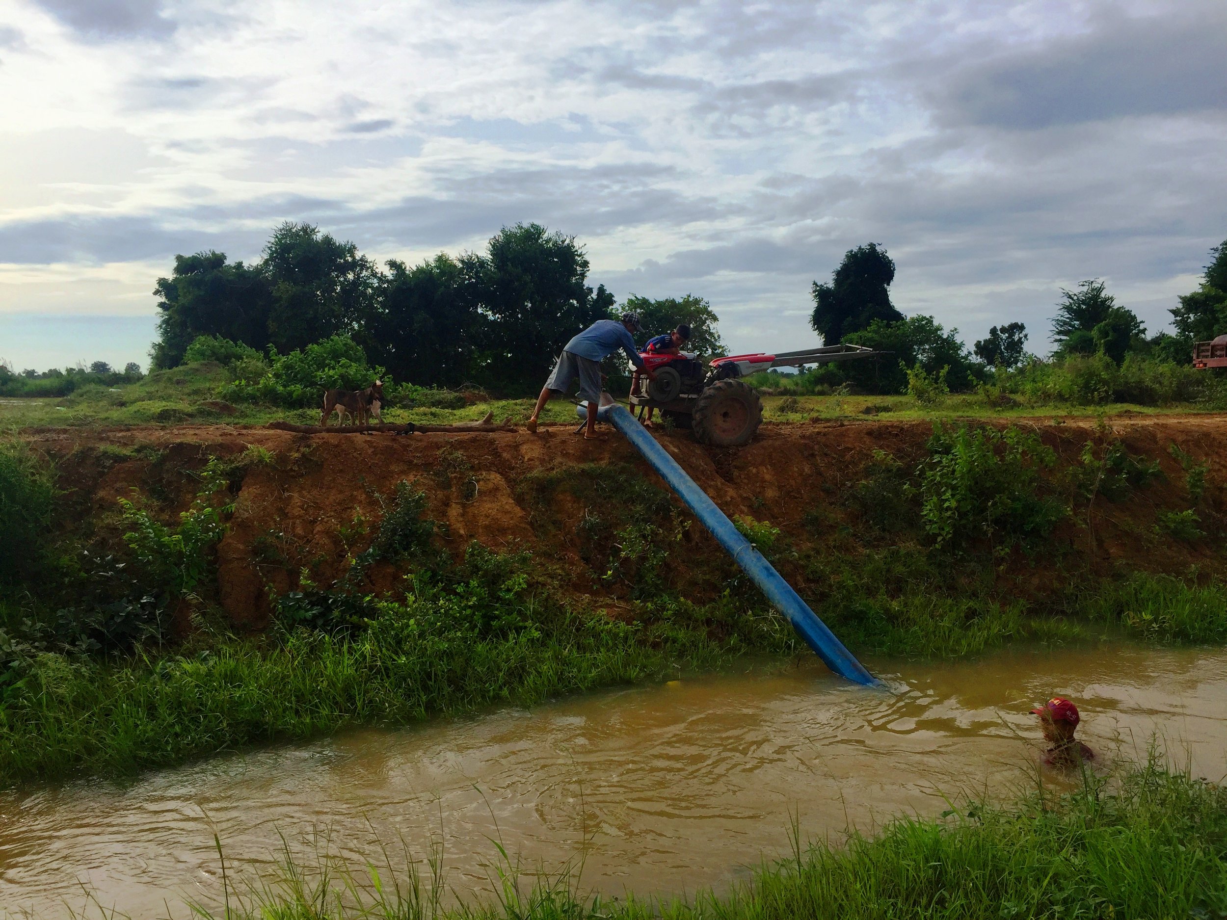 Pumping Water For Rice, Battambang