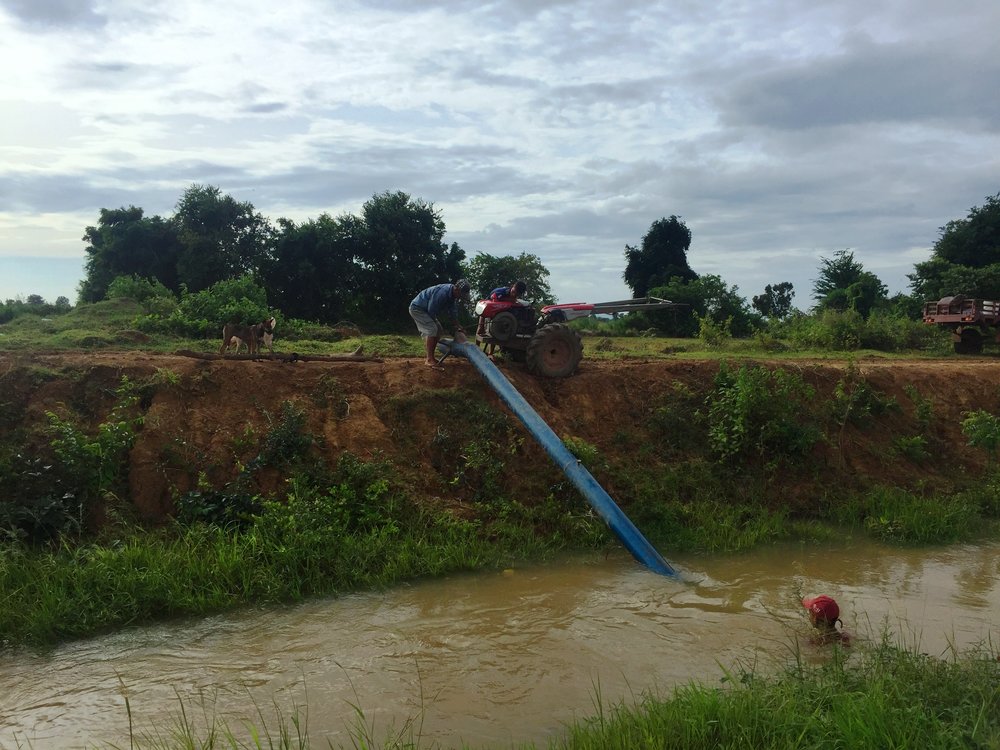 Pumping Water For Rice