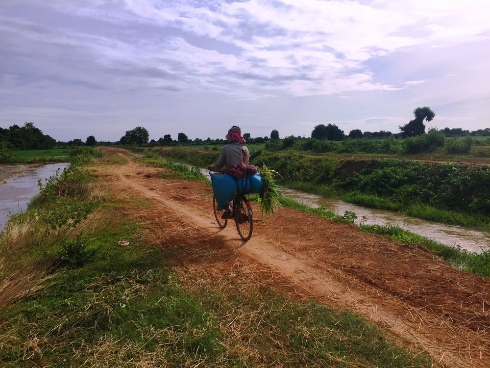 Farmer Riding Bicycle, Battambang