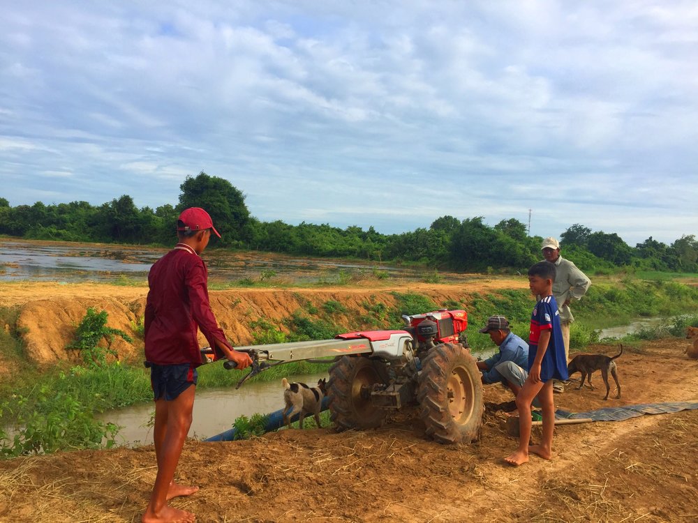 Pumping Water For Rice