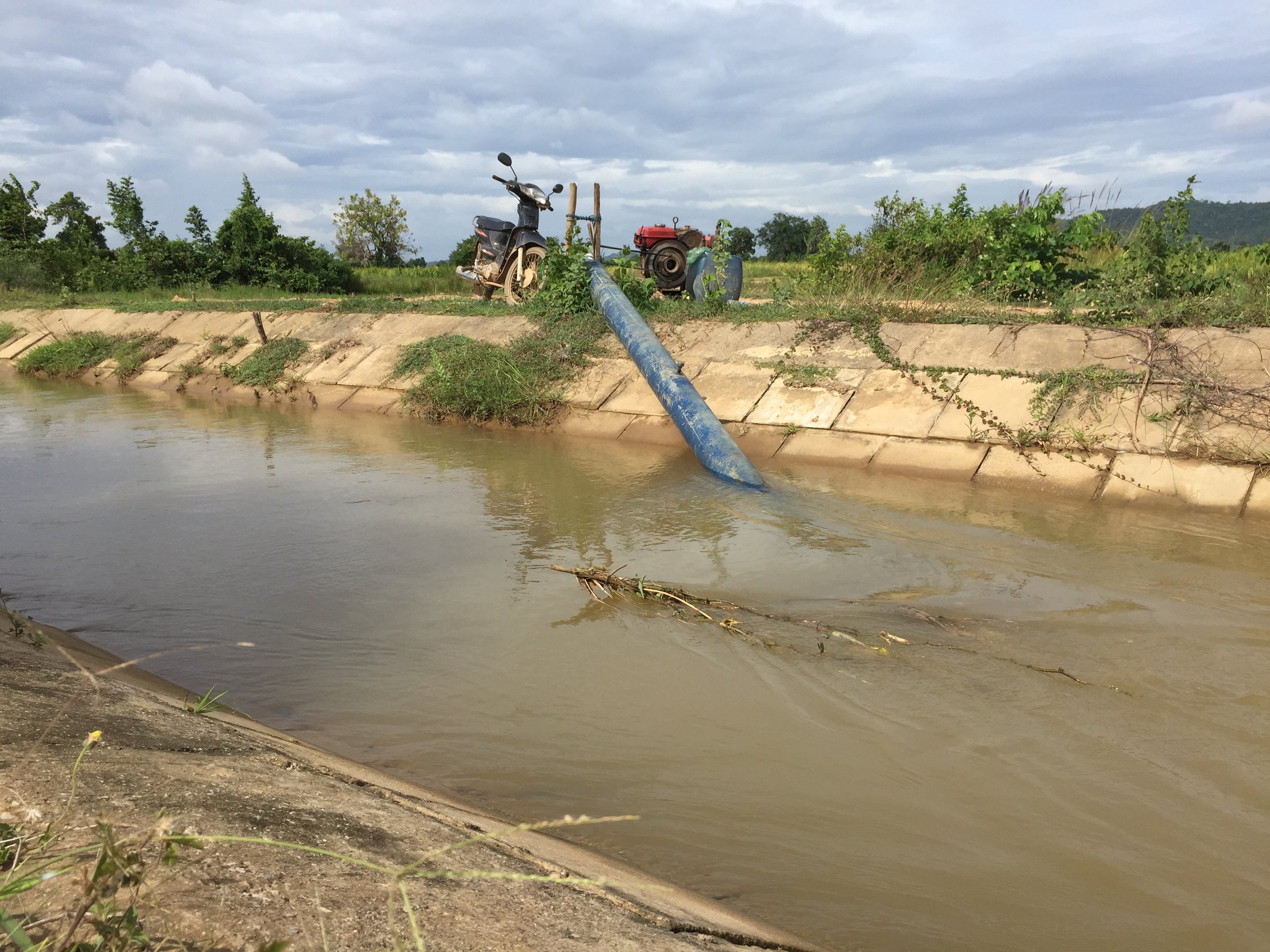 Pumping Water For Rice