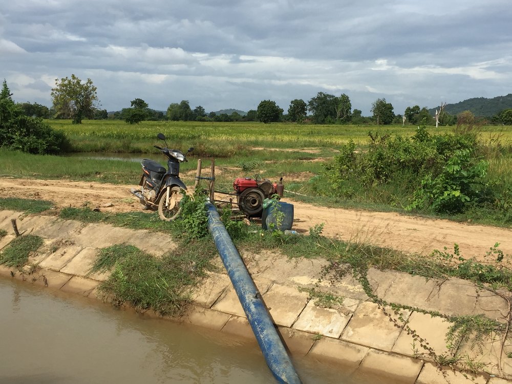 Pumping Water For Rice