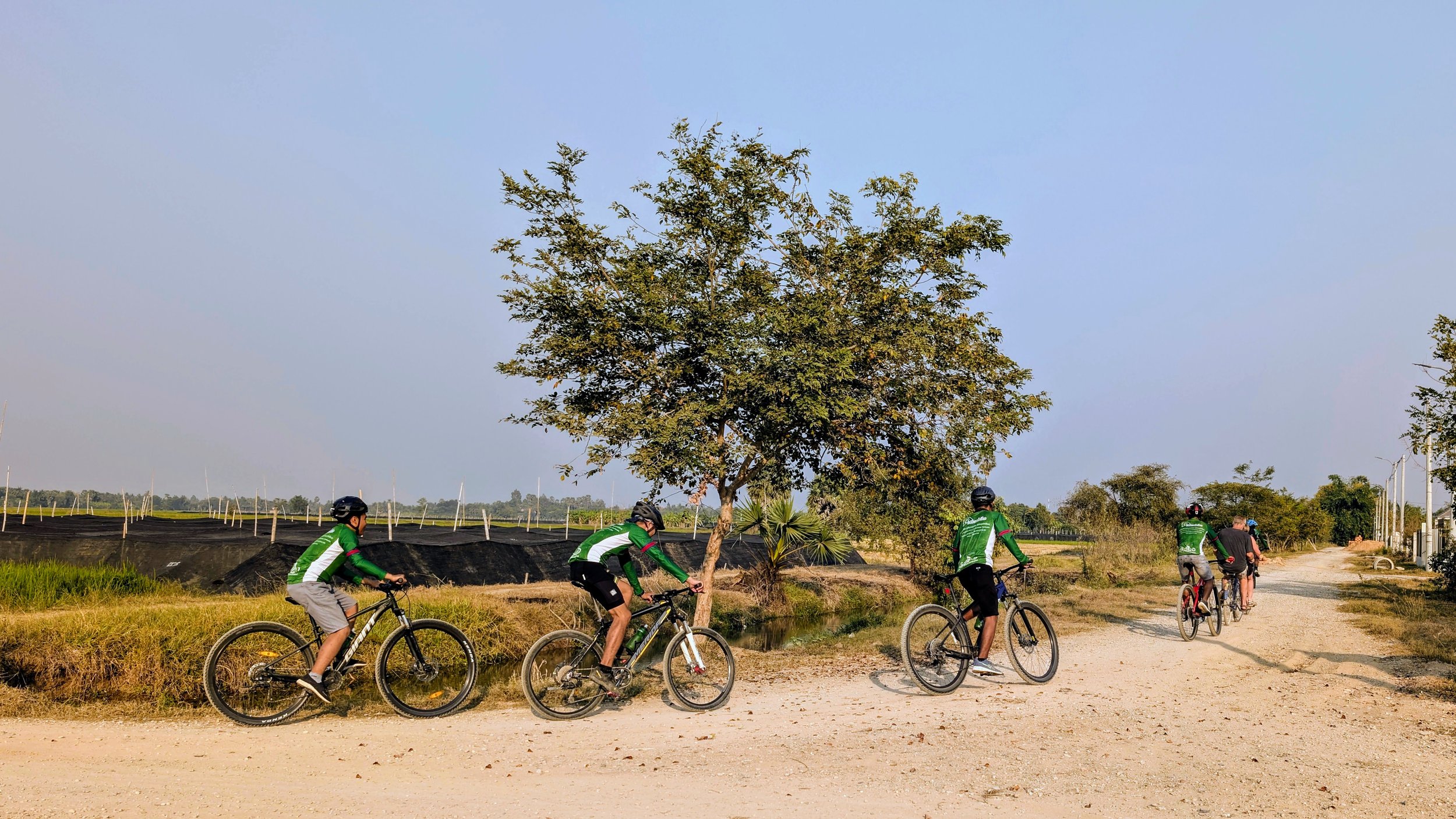 Cycling through rice fields