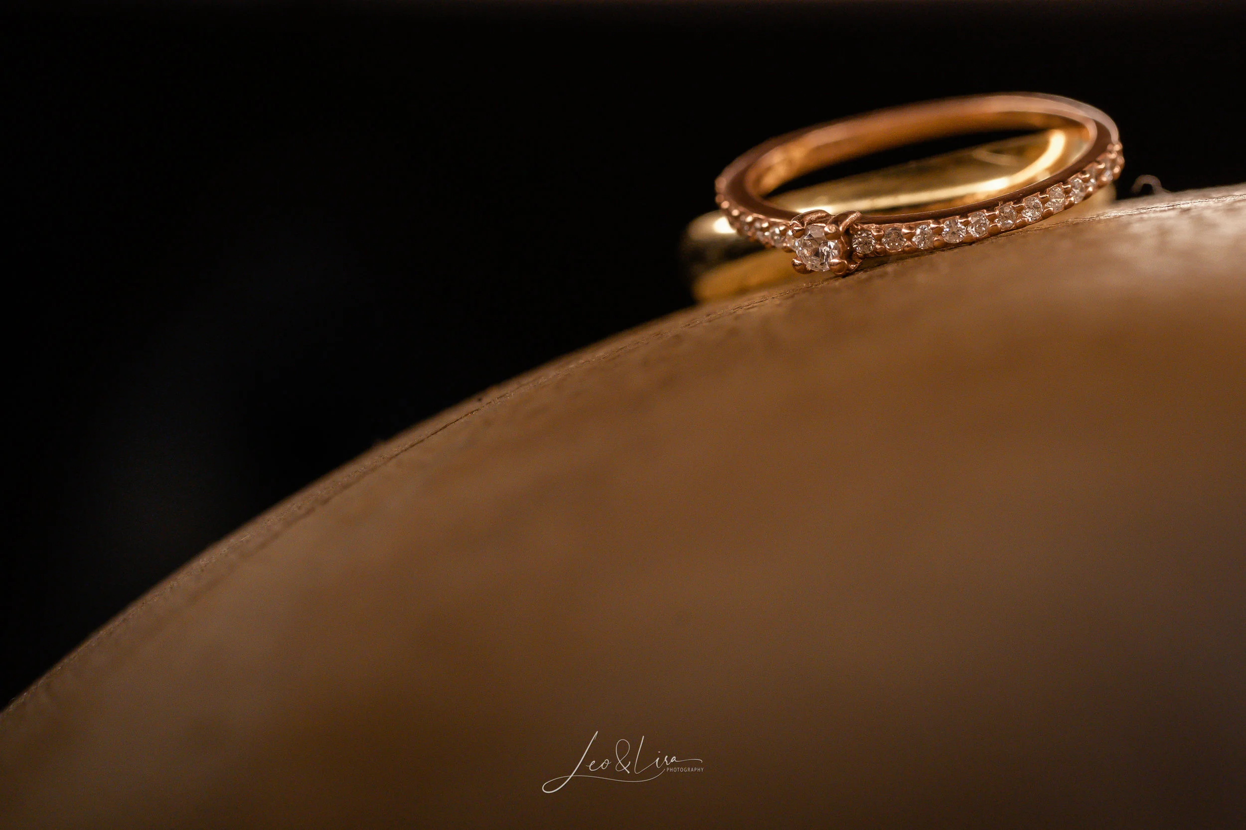 Shailesh & Crystal-7301447.jpg
