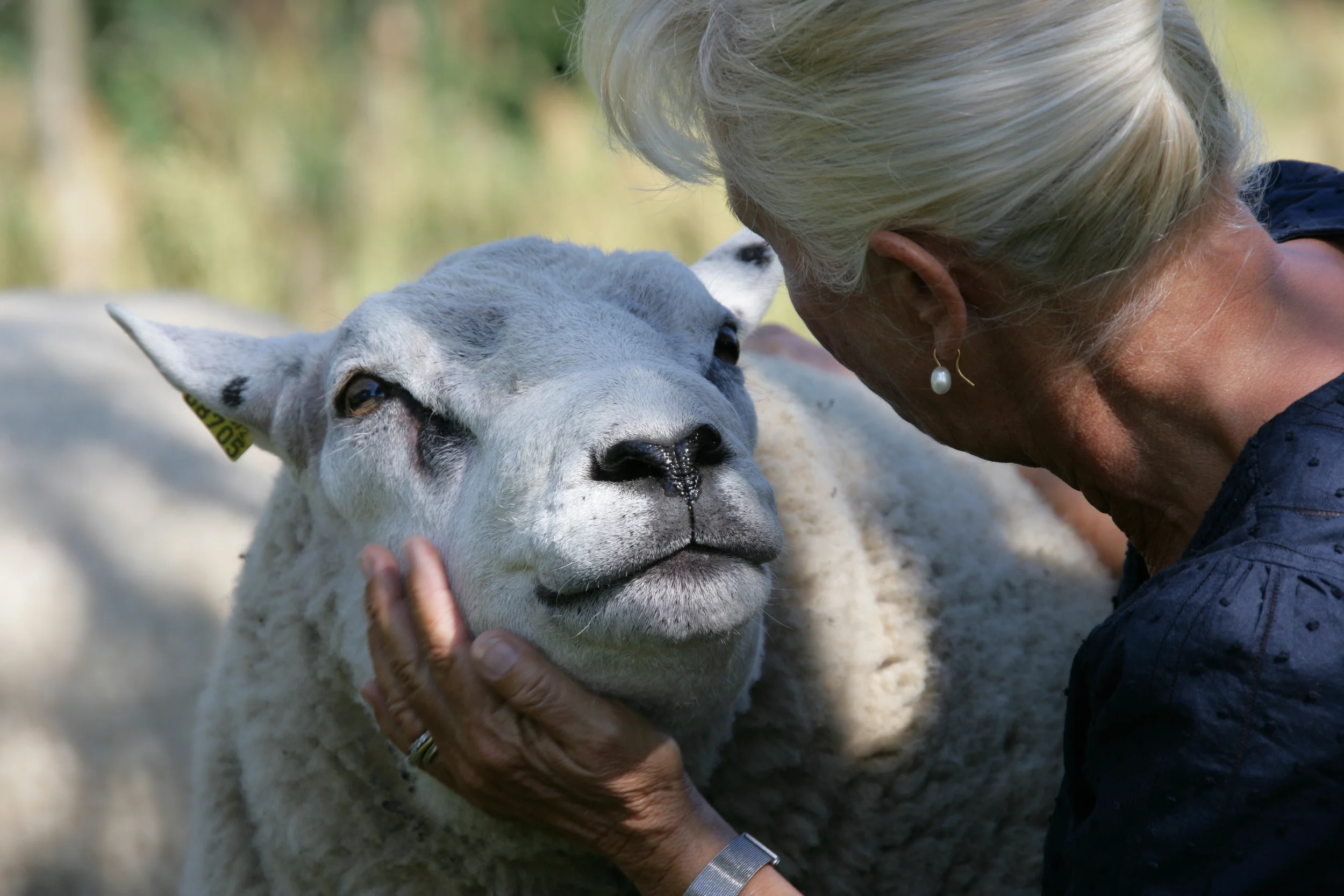 XH4S1197-mkt bra.JPG