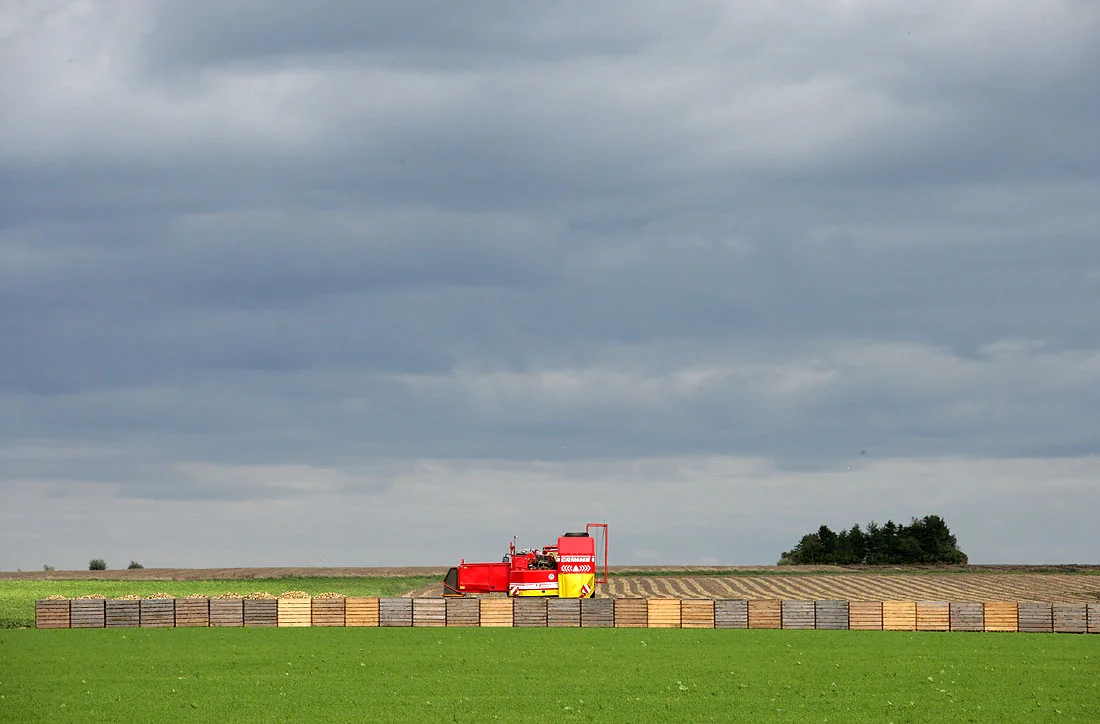 XH4S0156-potatislådor.jpg