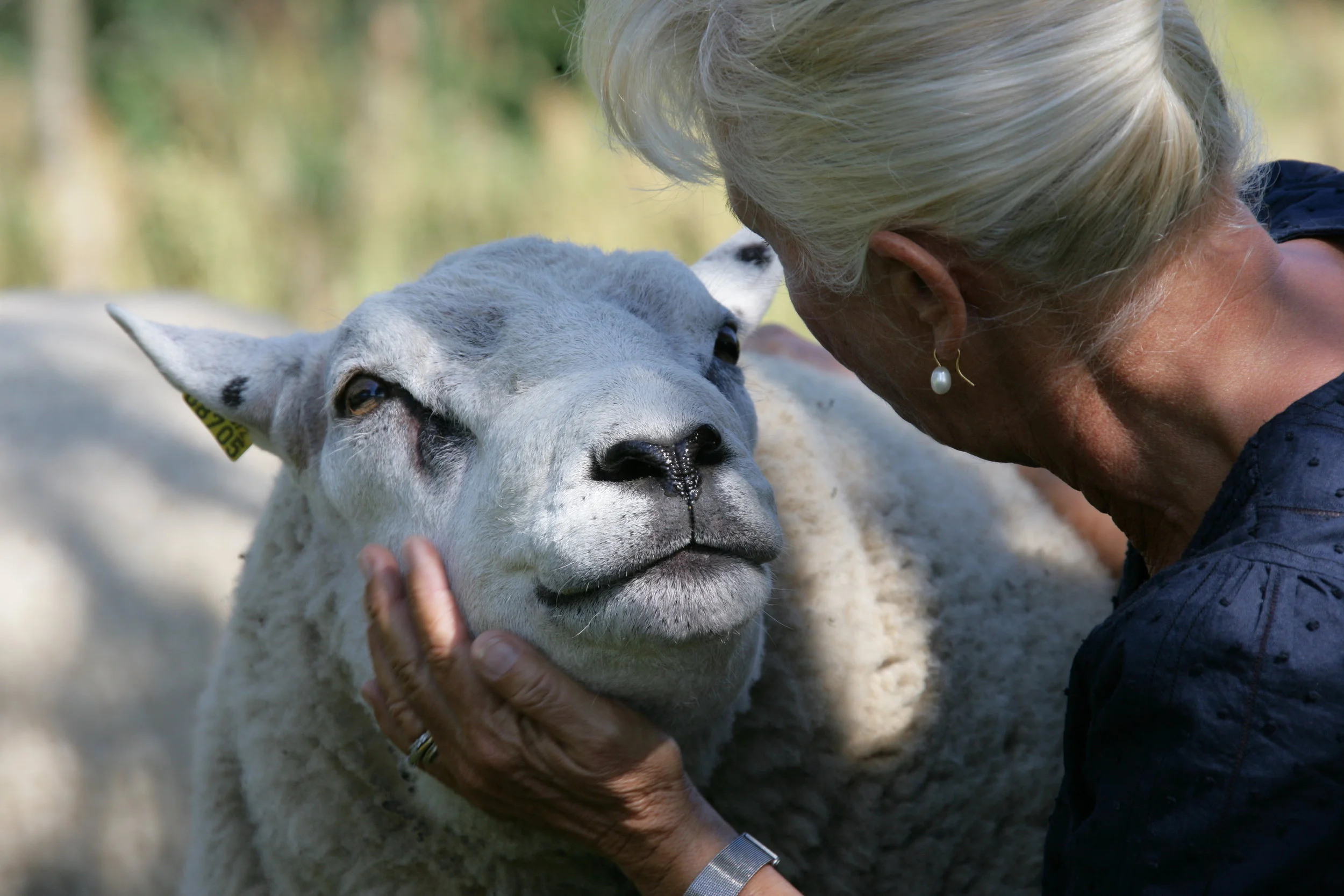 XH4S1197-mkt bra.JPG