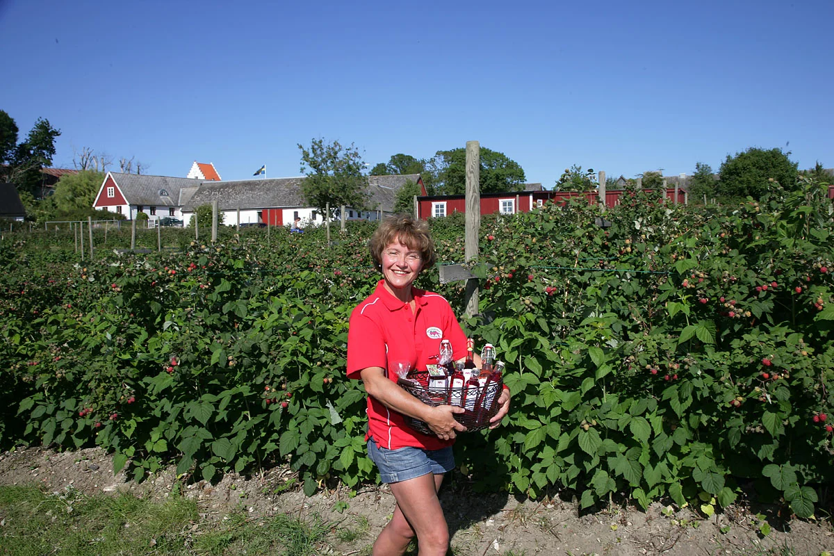 XH4S1272_Kerstin på väg.jpg
