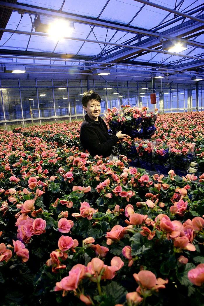 XH4S8440-BRA-porträtt-blomsterhav.jpg