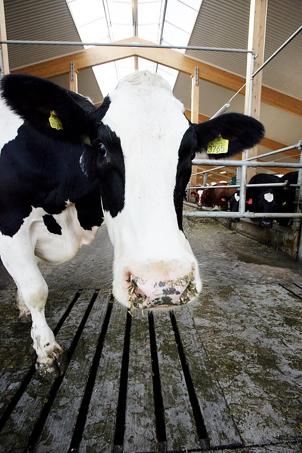 XH4S9569-muuuuu copy.jpg