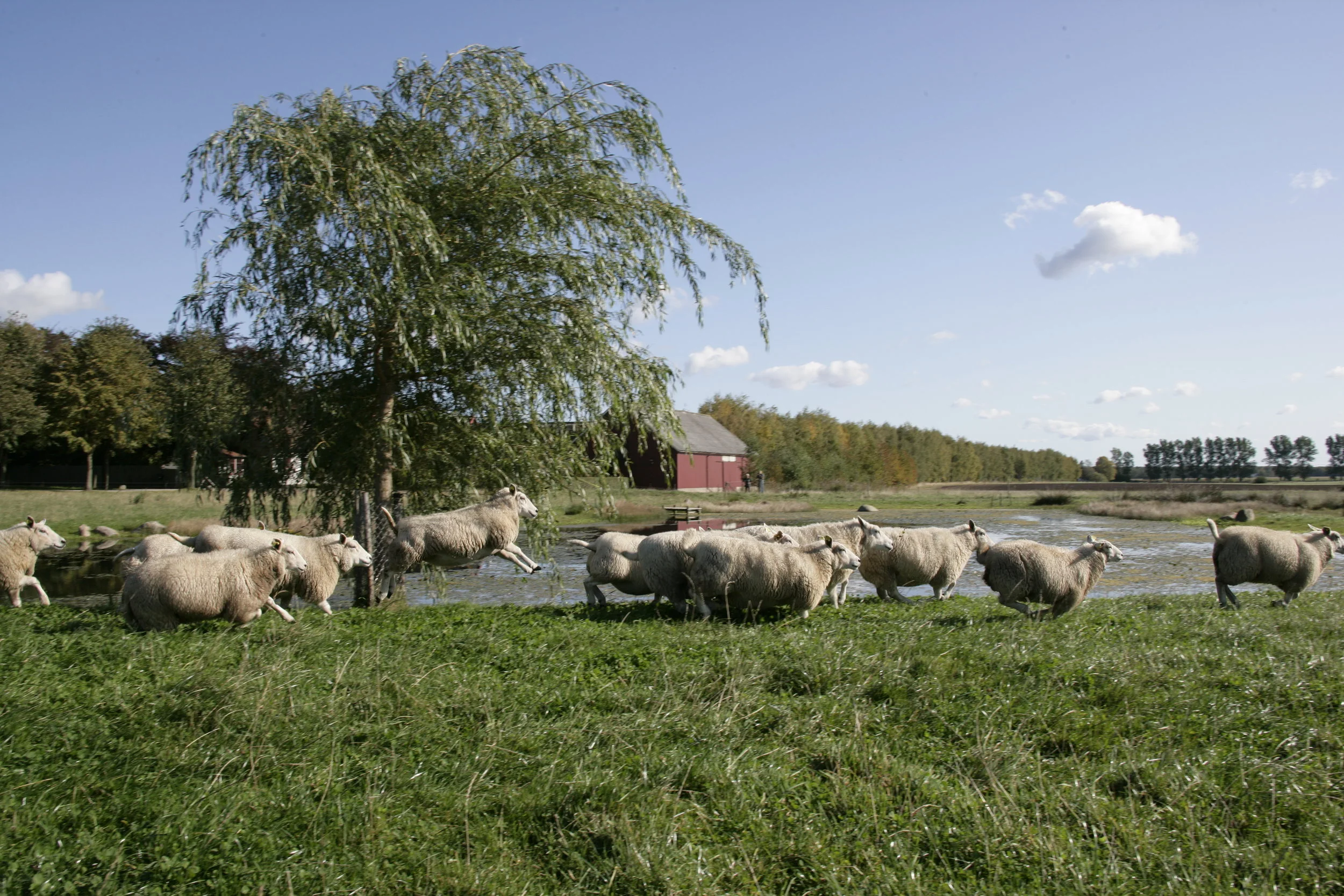 _H4S2068-vilket skutt!.JPG