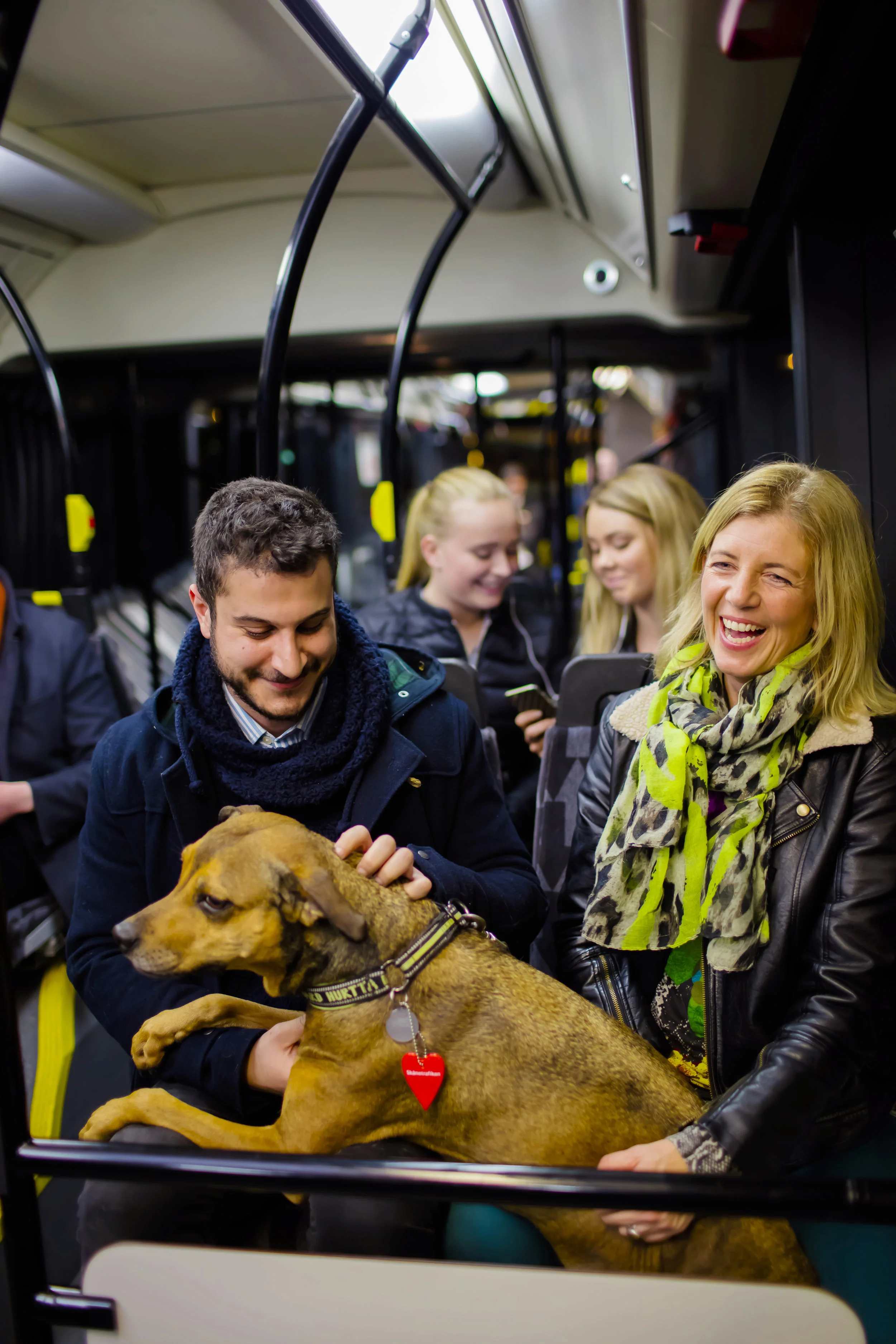 _35A0084_2015-12-01_hög.jpg