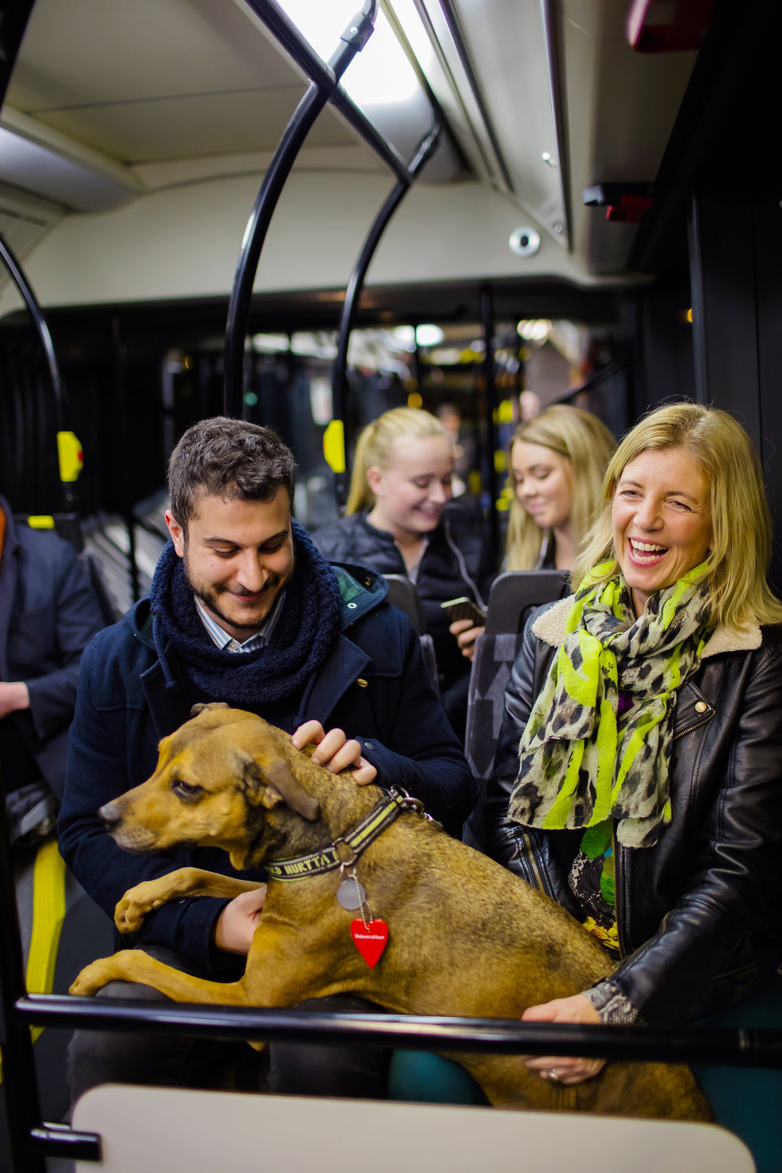 _35A0084_2015-12-01_hög.jpg