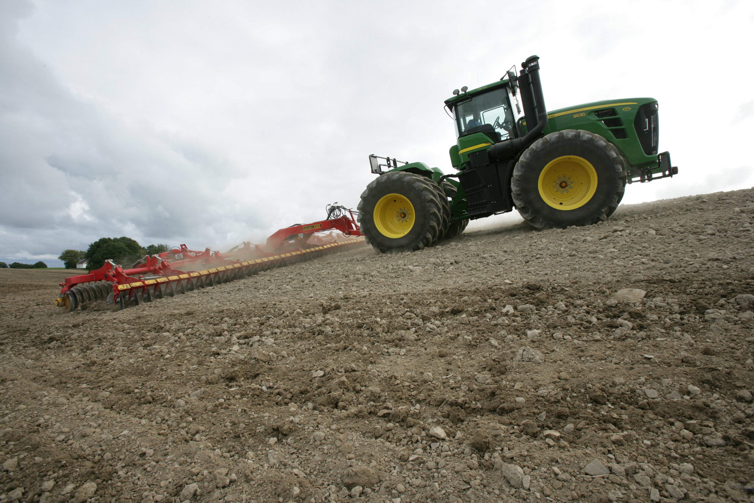 XH4S1047-maffigt.JPG