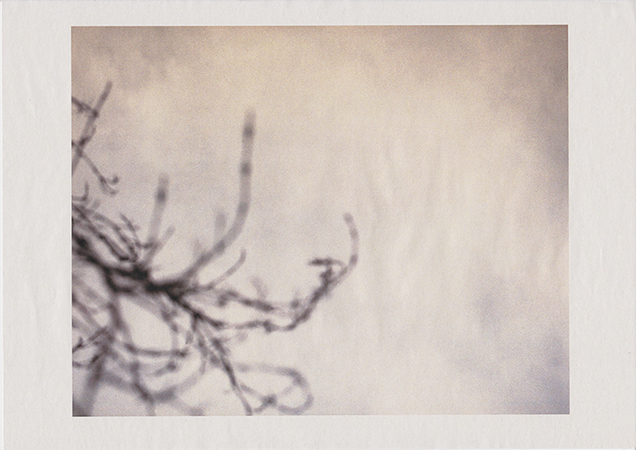 Selma Hengeveld, Tijmen uit de serie Waar ze nu zijn , digitale print op courant papier, 2013