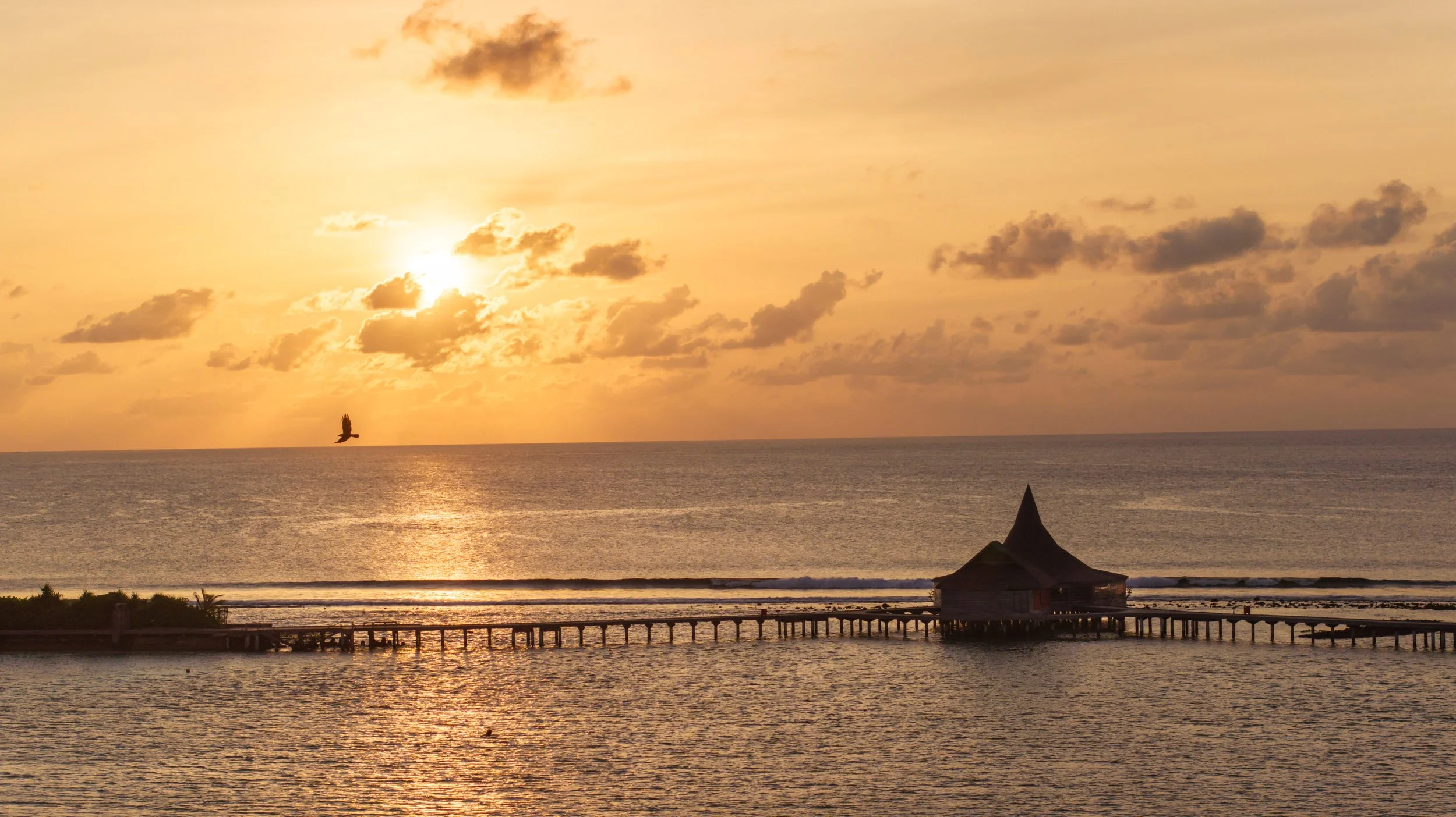 DJI_20250827021724_0031_D _.jpg