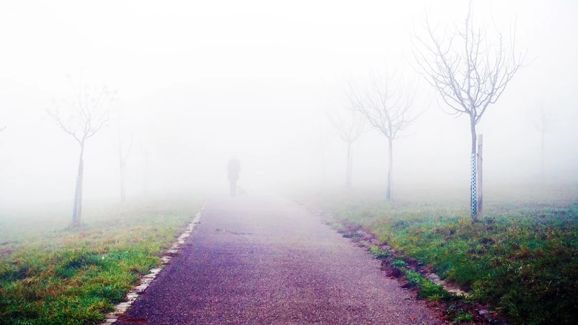 Z'BERG FOG 5 DOG KV.jpeg