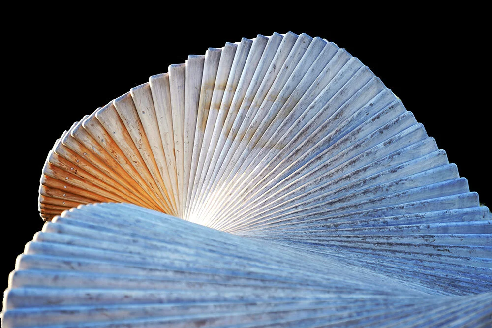 _FM_3066 SHELL 1LOW.jpg