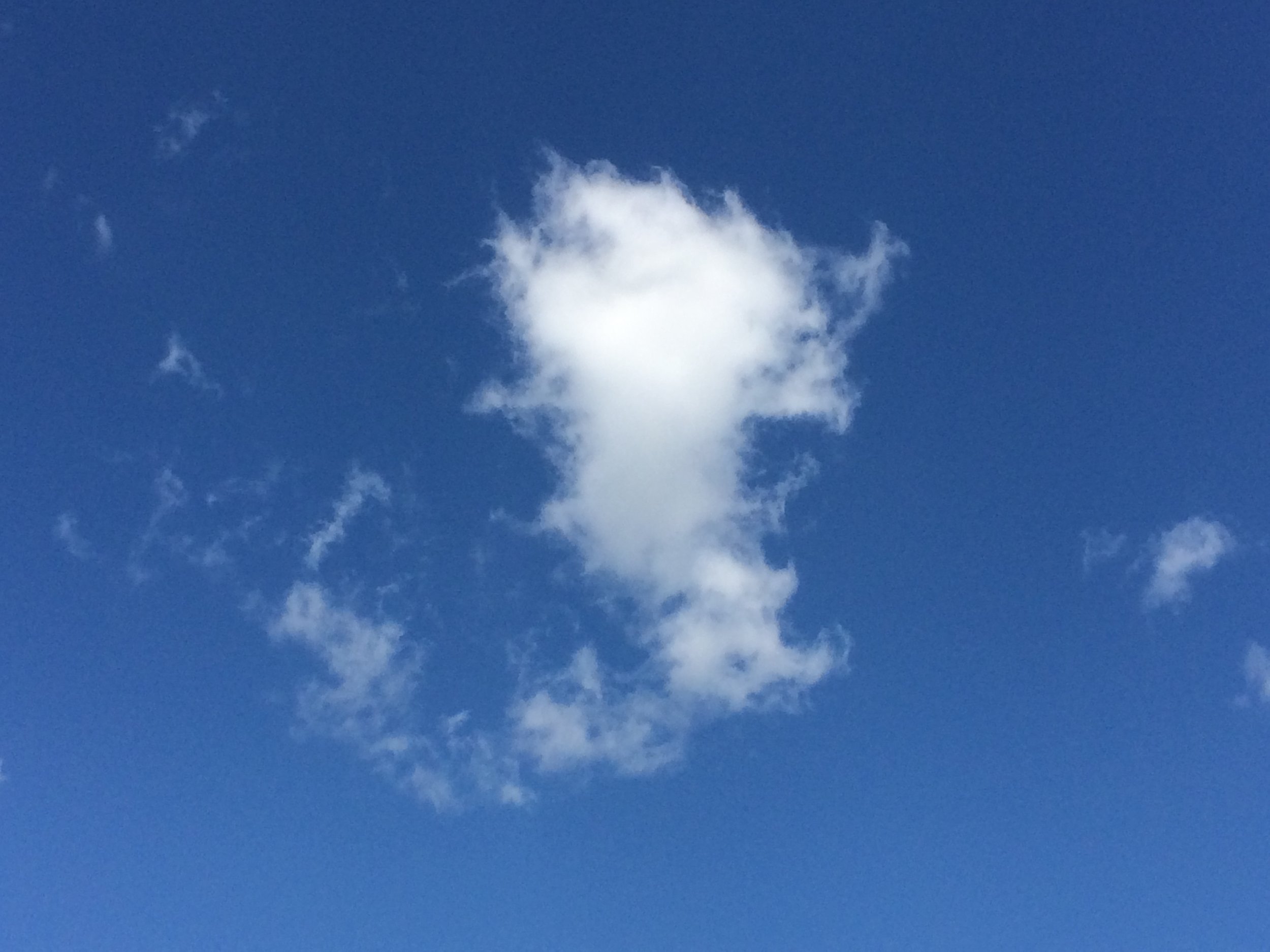 Cloud Be Gone 5-19-2014 - 6.jpg