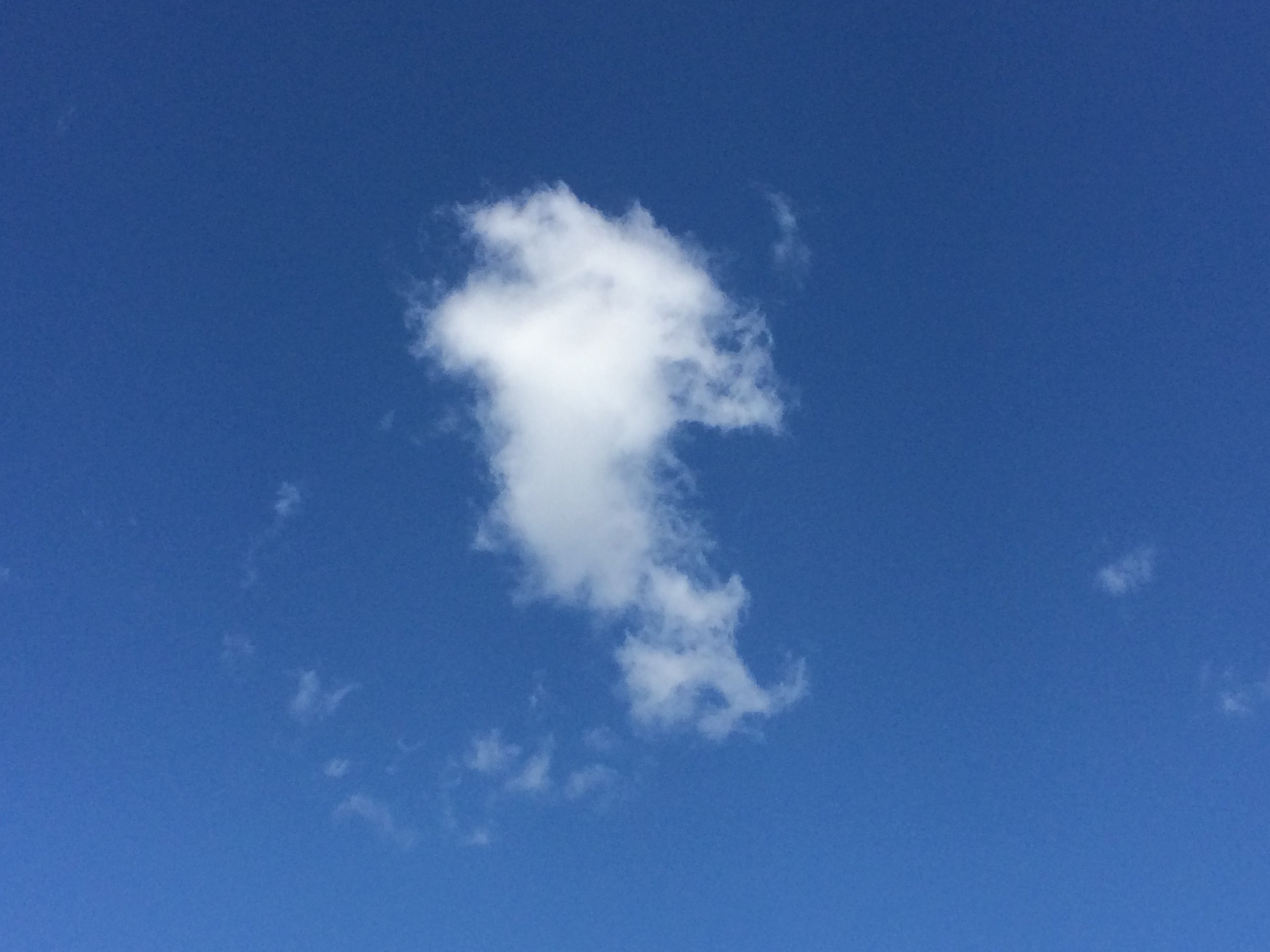 Cloud Be Gone 5-19-2014 - 7.jpg