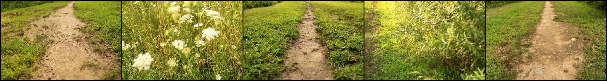 Wentworth Path
