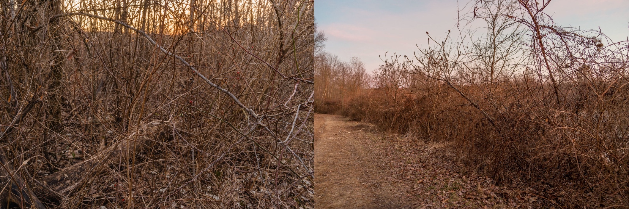 5-MCC_Before-the-snow.jpeg