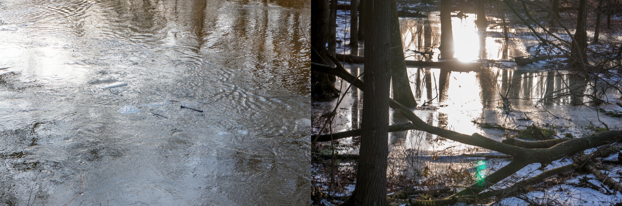 1-MCC_Water-Light.jpeg