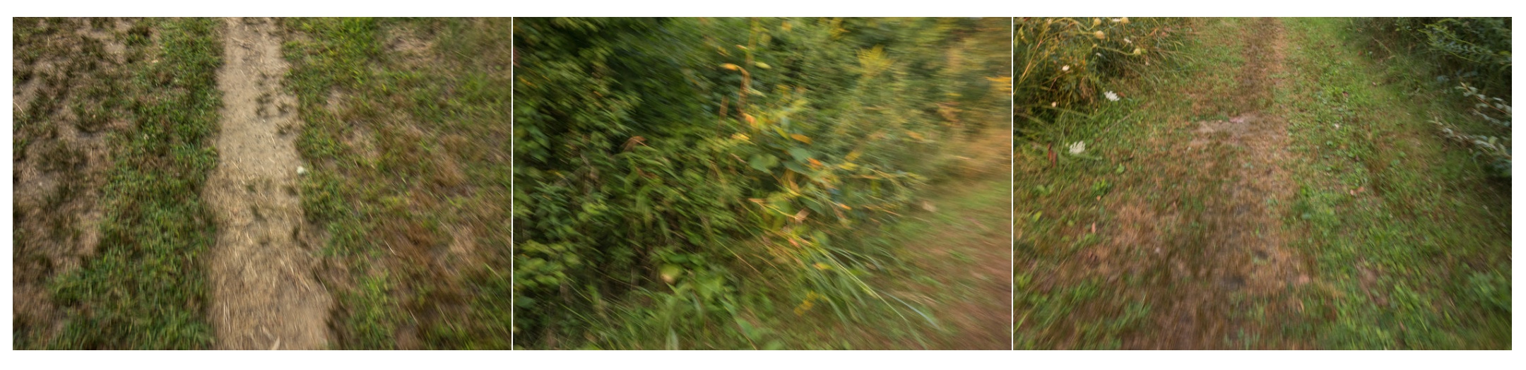 walking blurred.jpeg