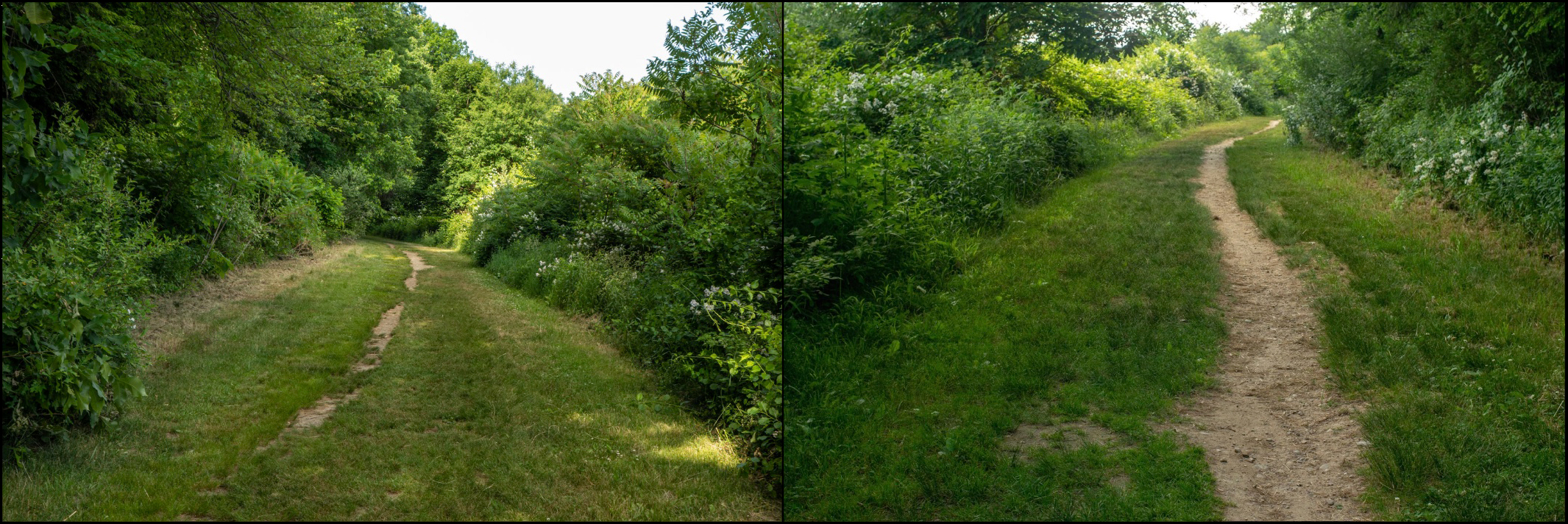 On the path, looking backward, looking forward