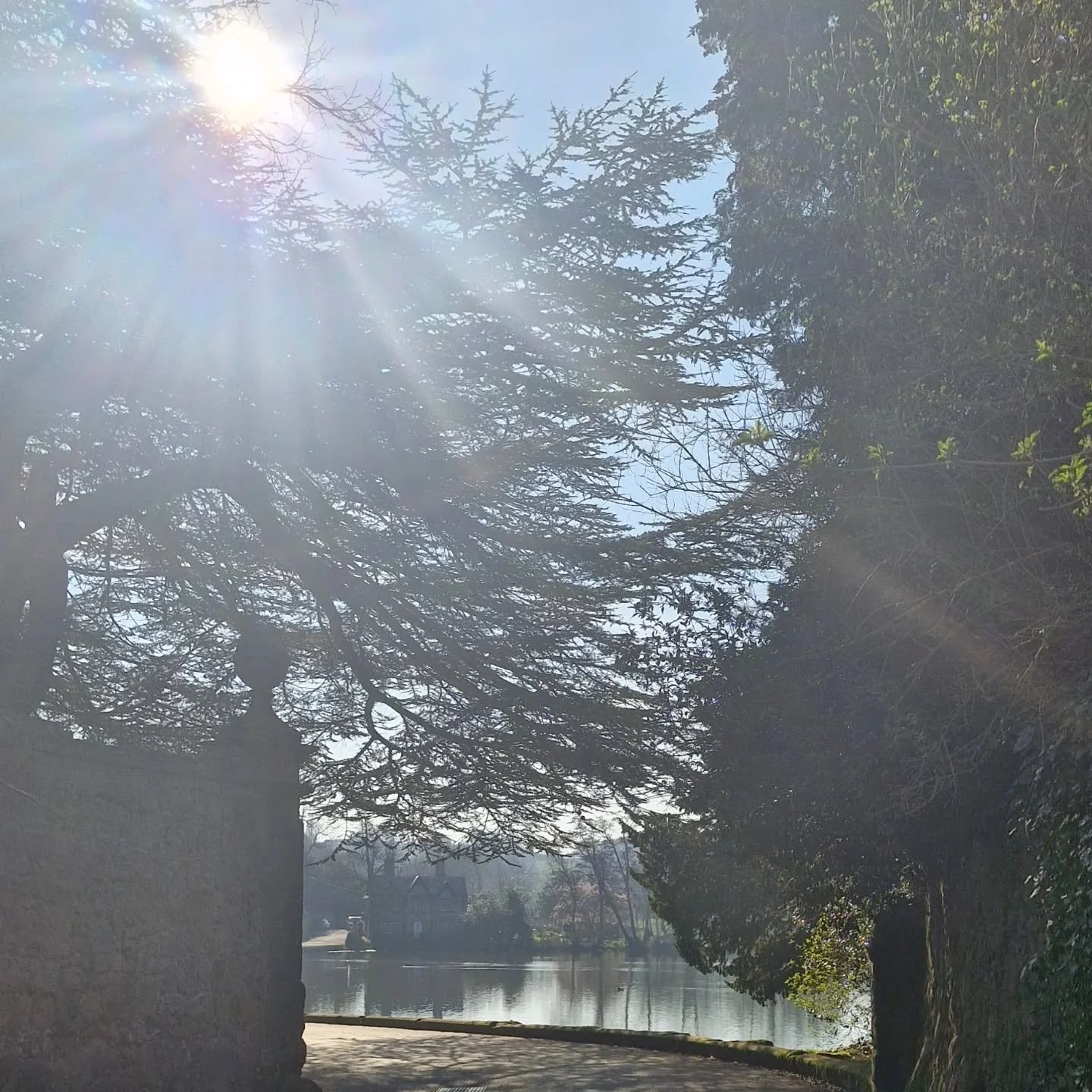 MELBOURNE
Beautiful morning today.
Feeling very grateful to have my little MAJ Hq in this lovely market town.
Busy day planned today catching up on some special projects.
Stay positive 🤍