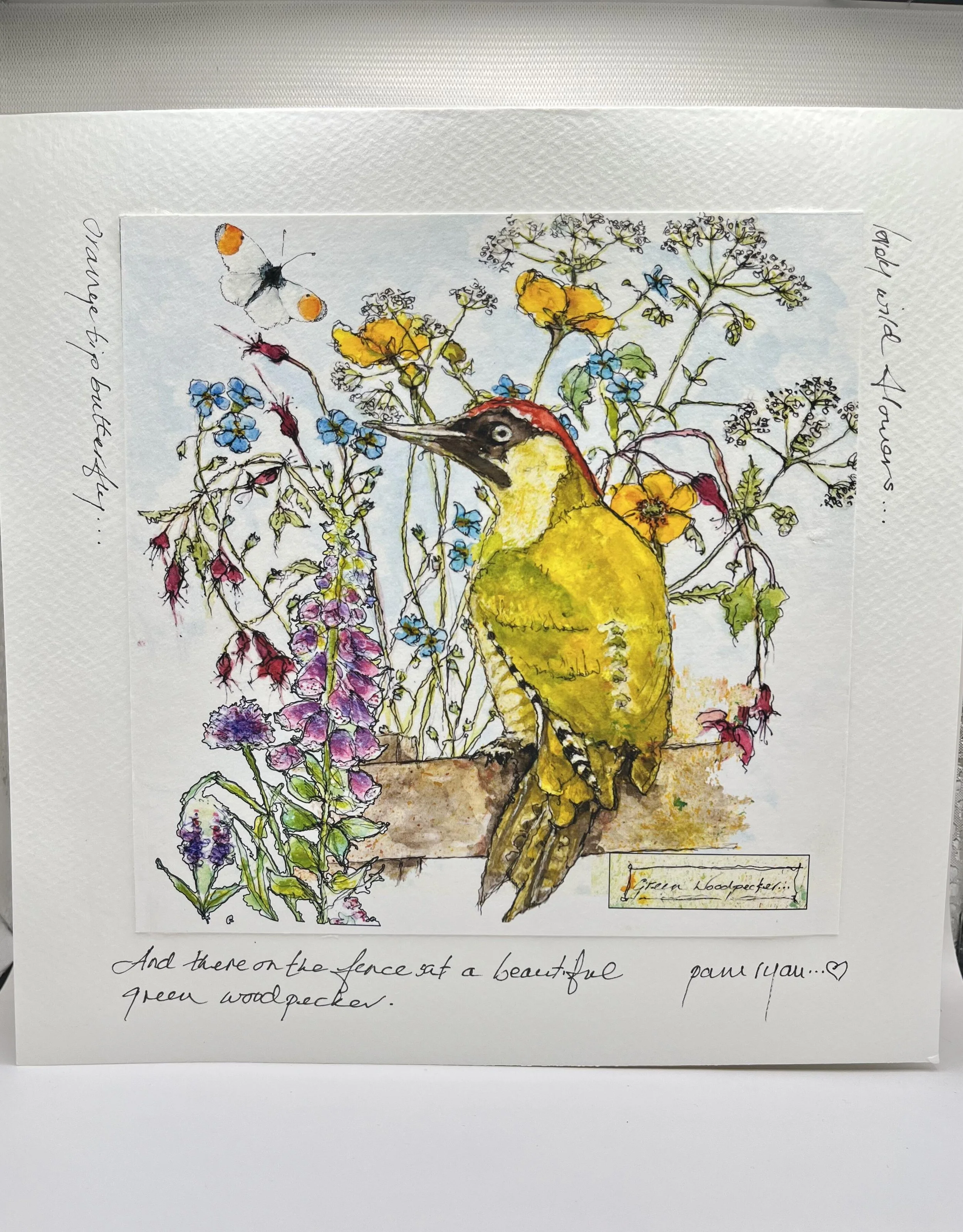 Pam Ryan Green Woodpecker card (large).jpeg