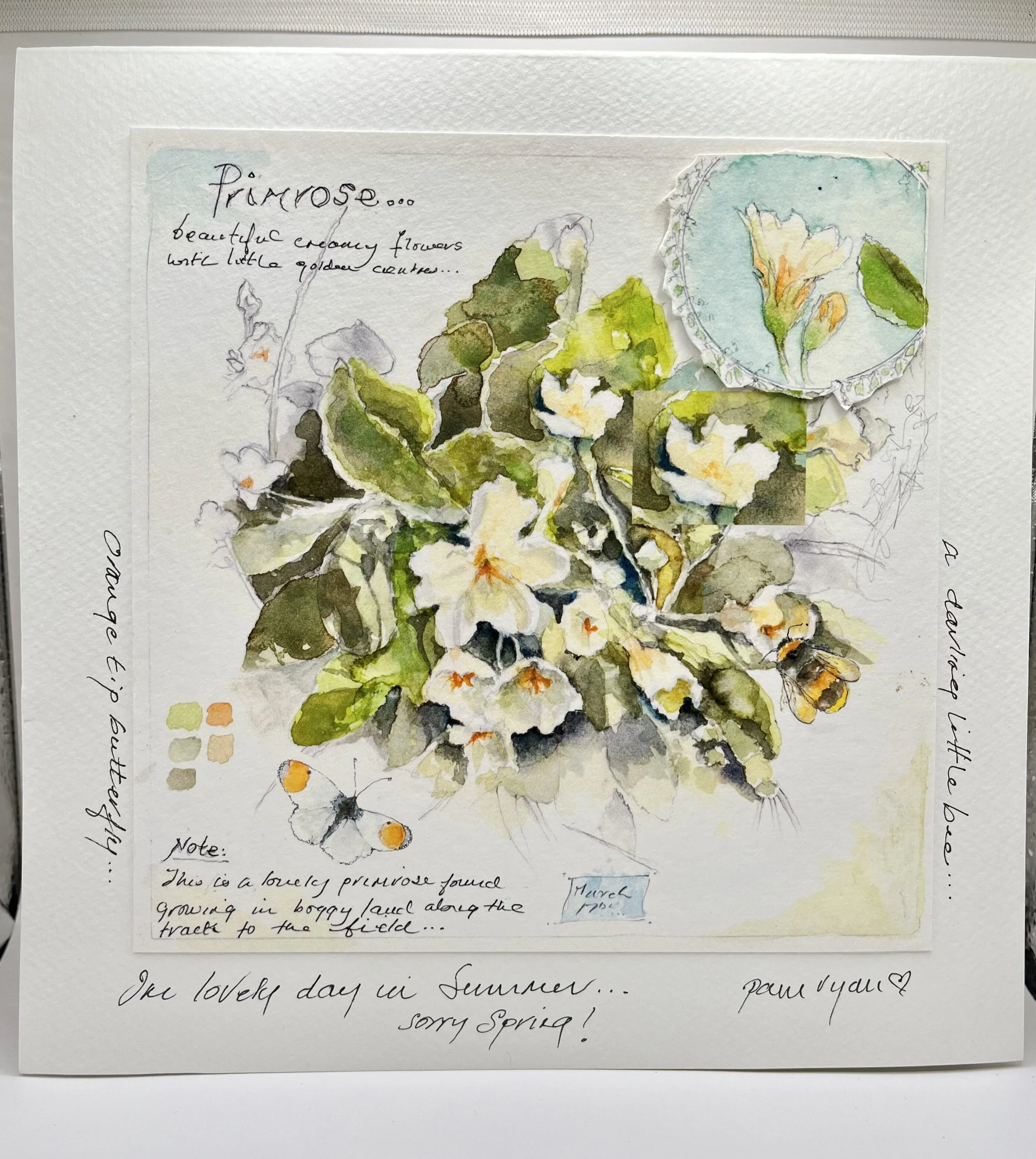 Pam Ryan Primrose card (large).jpeg