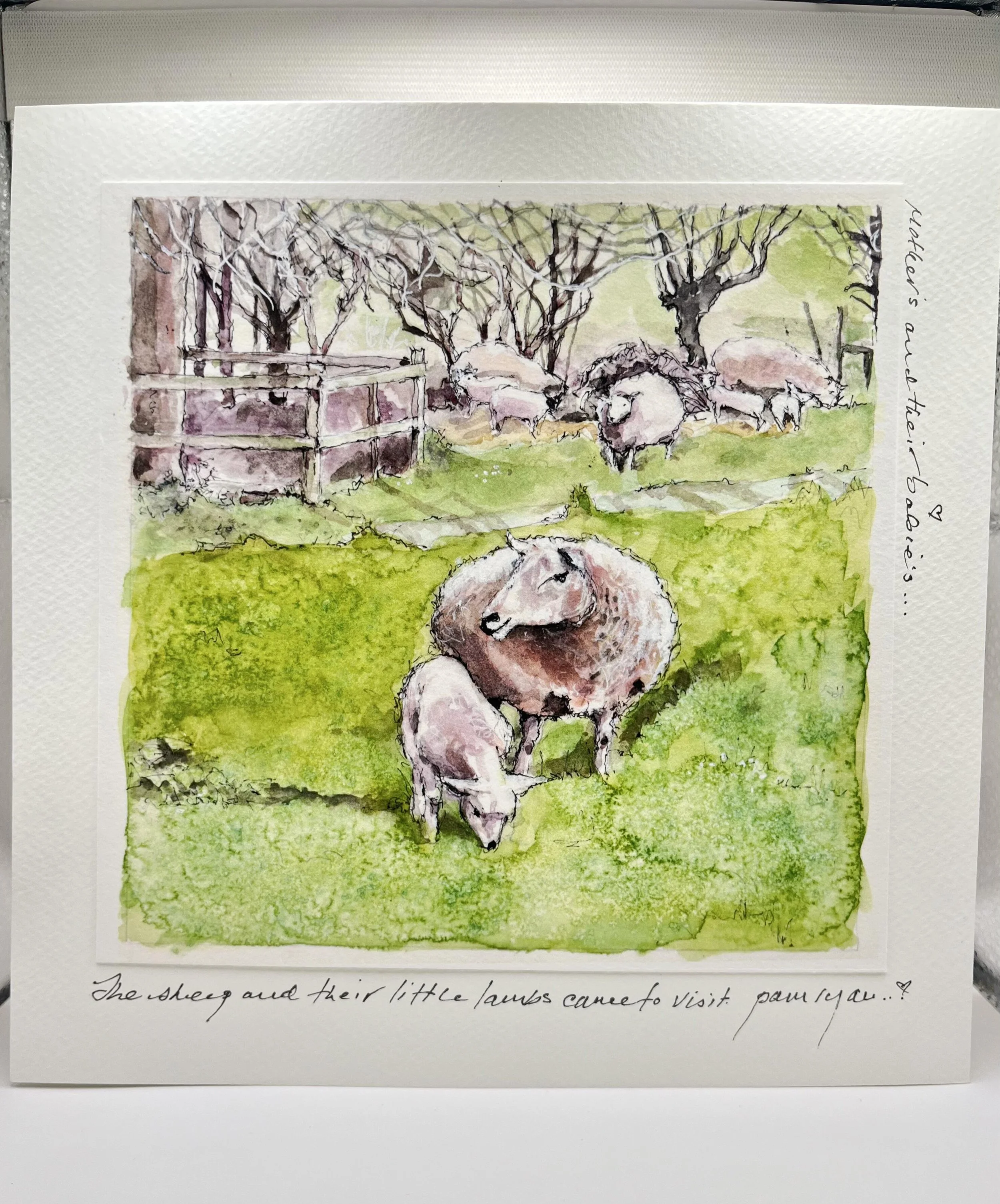 Pam Ryan Sheep and Lamb greeting card (large).jpeg