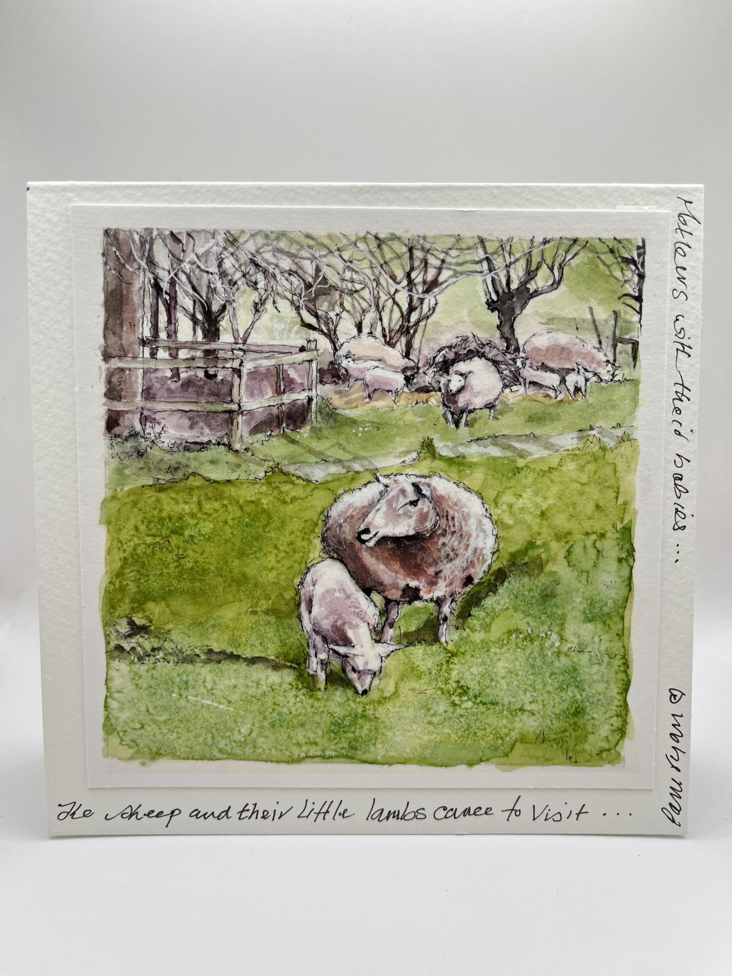 Pam Ryan Sheep And Lamb small greeting card.jpeg