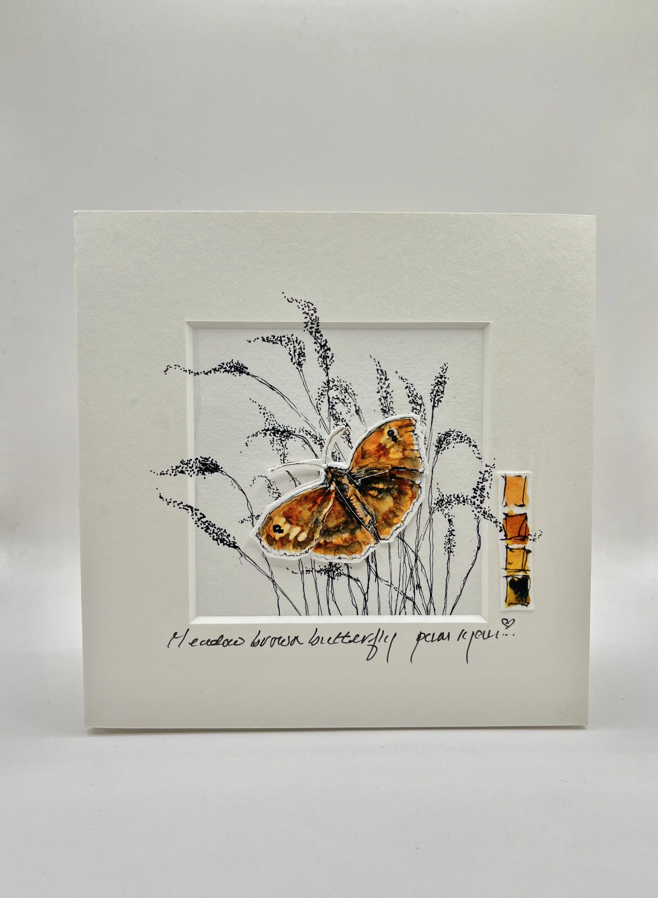 mounted butterfly greeting card .Jpeg
