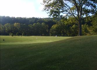 #17 Green