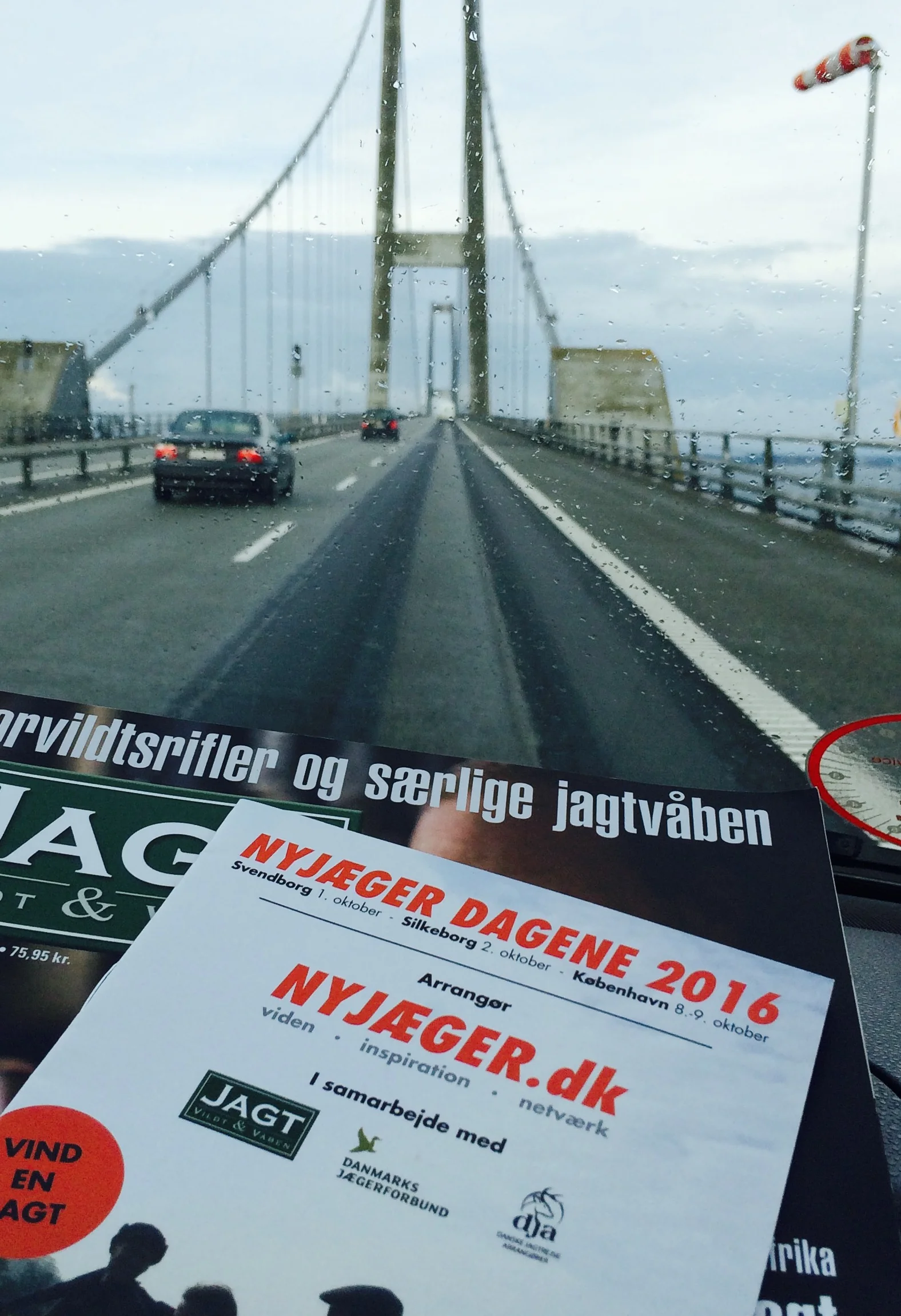 bridge_pic.jpg